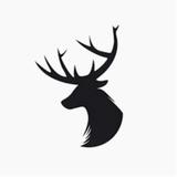 Draht Photography - Photographers in Vernon