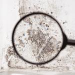 Genesis HOCl - photo 2