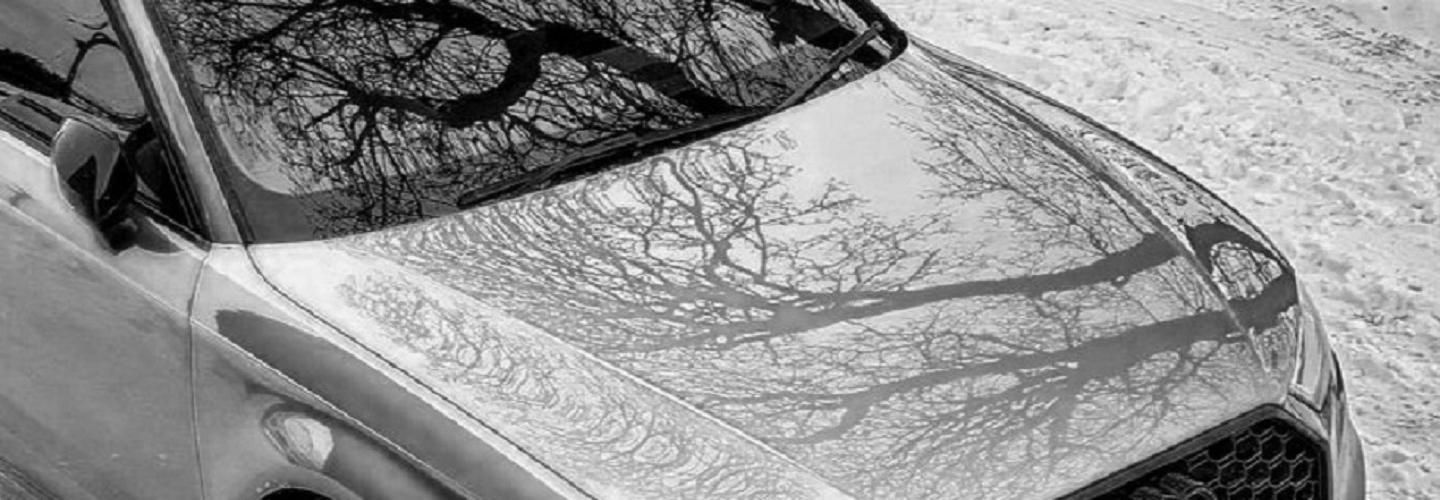 The Growth Guys cover photo