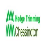 Hedge Trimming Chessington - Professional Services in Chessington