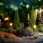 Graceful Glow Outdoor Lighting - photo 6