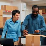 Christmas Movers - photo 4