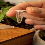 Fly High Seeds LLC - photo 10