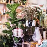 Warilla Grove - photo 7