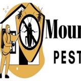 Mountain View Pest Control - Pest Control in Mountain View