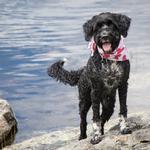 Carlisle Porties - photo 1