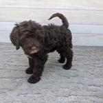 Carlisle Porties - photo 2