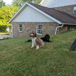 Carlisle Porties - photo 3