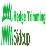Hedge Trimming Sidcup - Garden Services/Maintenance in Sidcup