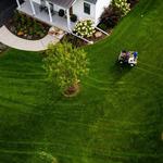PRO TURF LAWN CARE - photo 5