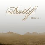 Paul Bugge GmbH - photo 4