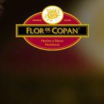 Paul Bugge GmbH - photo 5