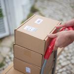 Mascotte Movers - photo 2