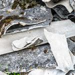 Asbestos Removal Rockhampton - photo 2