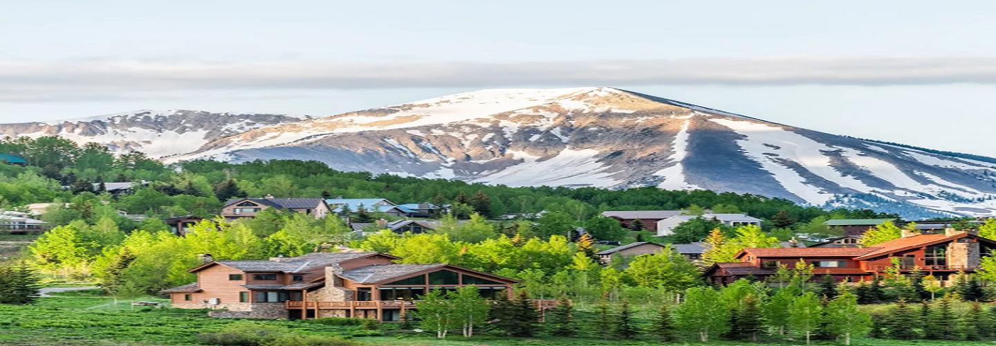 Nikki Pulitzer Crested Butte Realtor cover photo