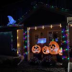 Diamond Field Commons - photo 2