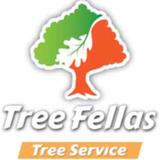 Tree Fellas - Tree Services in Loudon