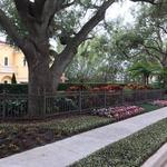 Grass Roots Outdoors, LLC - photo 3