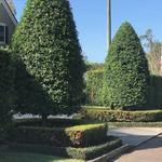 Grass Roots Outdoors, LLC - photo 8