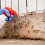 RestoPros of Metro Indy - photo 1