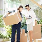 Lake Alfred Movers - photo 1