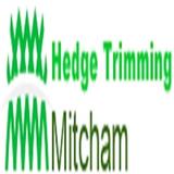 Hedge Trimming Mitcham - Professional Services in Mitcham