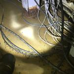 Bio-One of East Atlanta - photo 10