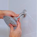 Feature Tiling WA - photo 8