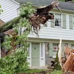 Professional Restoration Services - PRS - photo 5