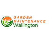 Garden Maintenance Wallington - Garden Services/Maintenance in Wallington