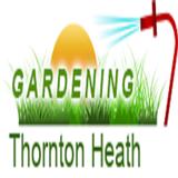 Gardening Thornton Heath - Nurseries & Gardening in Thornton Heath