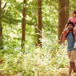 Who Cares BC - photo 2