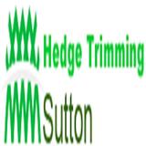 Hedge Trimming Sutton - Garden Services/Maintenance in Sutton