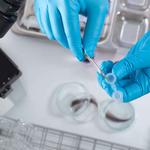 Drug and Alcohol Testing Compliance Services - photo 7