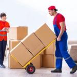 Ellenton Movers - photo 4