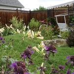 Paysagiste Lapierre en Rose - photo 1