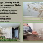 Mold Men of Pittsburgh - photo 2