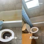 Mint Maintenance - photo 1