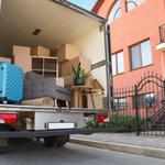 Oldsmar Movers - photo 1