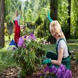 Gardeners Belmont - Home Services in Sutton