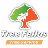 Tree Fellas - Tree Services in Loudon