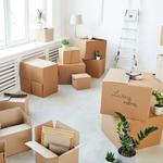 Lulu FL Movers - photo 4
