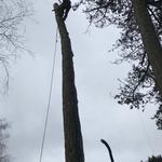 Timber Dan's - photo 1