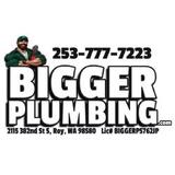 BIGGER PLUMBING - Plumbing in Roy