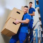 Starke Movers - photo 3