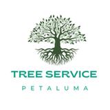 Tree Service Petaluma - Tree Services in Petaluma