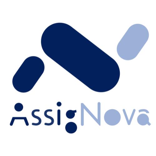 AssigNova - Professional Services
