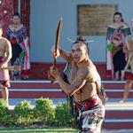 Explore Hamilton - photo 3