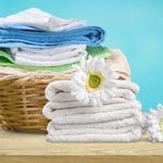 Clothing Repair Near Me - photo 3