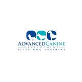 Advanced Canine Development - Pets in Punta Gorda